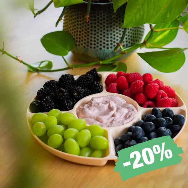 SnikSnack snack- og krea-fad – opdelt fad til snacks og maling